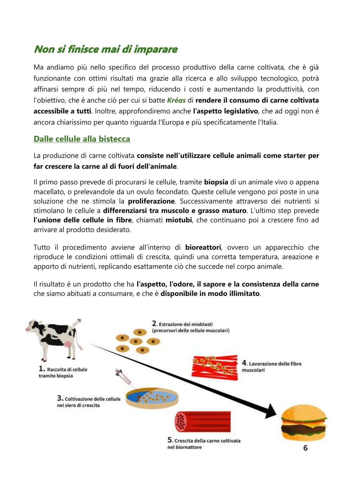 Kréas long-form article, Italian original — page 6 of 8